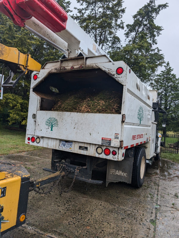 A tree chipper truck full of wood chips and tree debris, used by M.L tree service for cleanup in Dayton, OH.