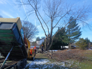 A tree service crew chipping branches and piling logs during a tree removal project by RJ Robinson Family Tree Service LLC in York, PA