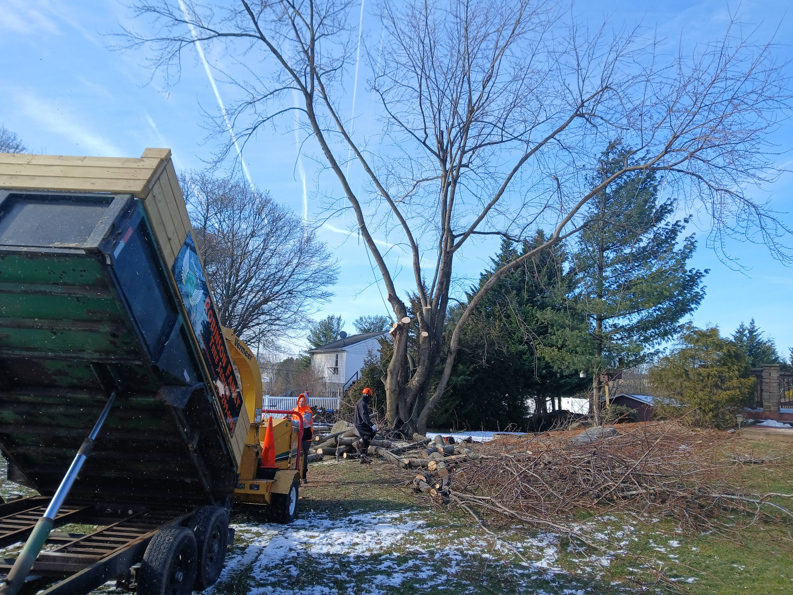 A tree service crew chipping branches and piling logs during a tree removal project by RJ Robinson Family Tree Service LLC in York, PA