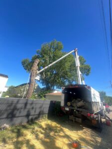 A worker in a bucket truck feeding tree branches into a wood chipper during a tree service job by Raptors Tree Service LLC in Hammond, IN.