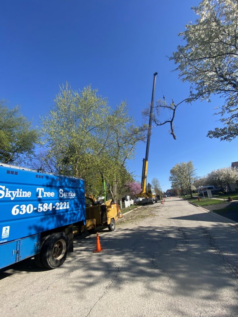 A tree service crew using a wood chipper and crane for tree removal and cleanup by Skyline Tree Service and Landscaping Inc. in Saint Charles, IL.
