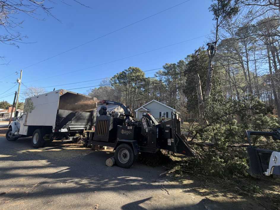 A tree chipping operation with a large wood chipper and dump truck by GVM Tree Service in Raleigh, NC.