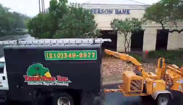 Yates Tree Inc. truck and wood chipper actively processing branches at a job site in San Antonio, TX