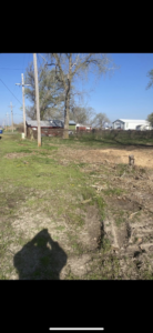 A cleared area with wood debris and stumps, showing the aftermath of a tree removal service by O'Connor Tree Service in Omaha, NE.