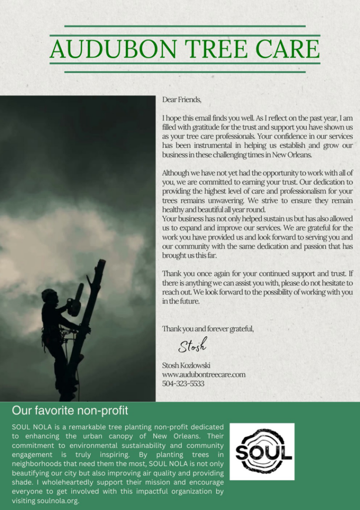 A tree service professional climbing a tree with a chainsaw, performing tree work for Audubon Tree Care in New Orleans, LA.