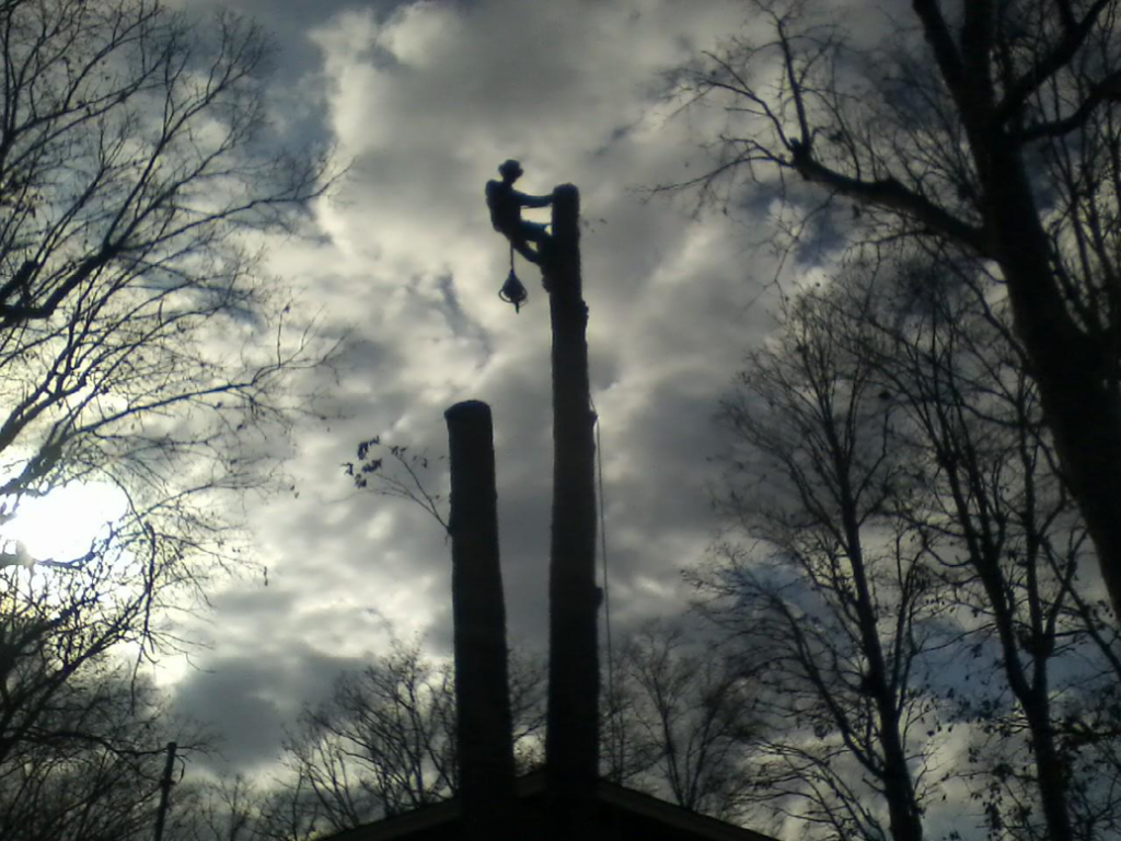 A tree climber working on removing a tall tree against a cloudy sky, performed by Nature boyz tree service in Pittsburgh, PA.