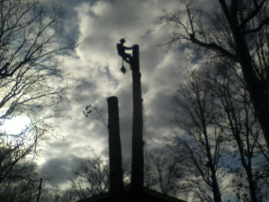 A tree climber working on removing a tall tree against a cloudy sky, performed by Nature boyz tree service in Pittsburgh, PA.