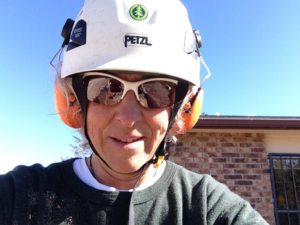 View from a tree showing a ground crew member and ropes, indicating tree service work by Flygirl Trees in Albuquerque, NM.