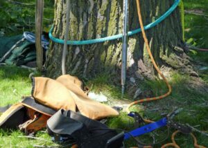 Professional tree climbing gear and ropes laid out on the ground next to a tree, ready for use by Mobile Tree Removal Services in Mobile, AL.