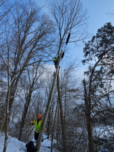 A tree service worker climbing a tall tree in a snowy forest, assisted by a ground crew, by Rosas brothers tree service llp in Richmond, KY.