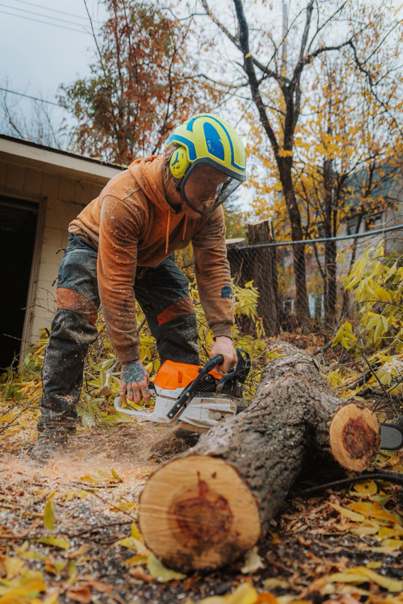 A tree service professional cutting a log with a chainsaw, wearing safety gear, for Deep roots tree care LLC in Duluth, MN.