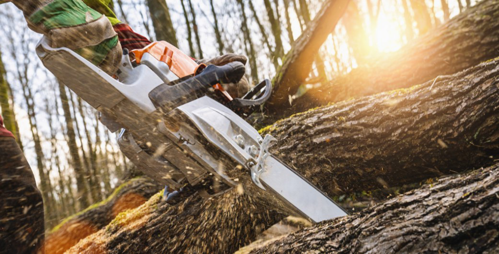 A professional using a chainsaw to cut a large tree trunk, generating sawdust, for GEROW Services, LLC in Oklahoma City, OK.