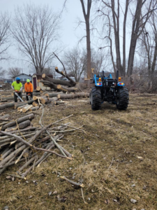 Arbor Tech Tree Specialist team cutting and clearing fallen trees and branches in Flint, MI.