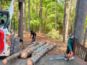 Two tree service workers using chainsaws to cut logs, with a skid steer nearby, for Ricardo's Tree Service in Woodstock, GA.