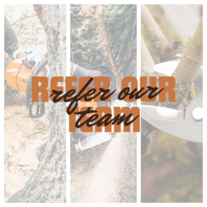 A collage showing professional tree cutting with a chainsaw and branch pruning by Brinker Tree Service in Wilmington, NC.