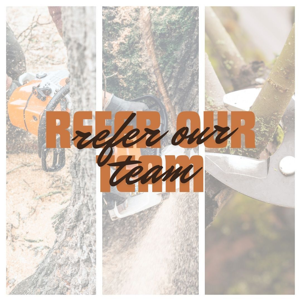 A collage showing professional tree cutting with a chainsaw and branch pruning by Brinker Tree Service in Wilmington, NC.