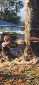 A professional from Omar Tree Services cutting a large tree trunk with a chainsaw in Kansas City, MO.