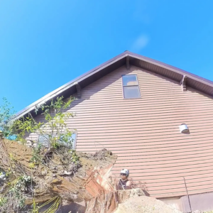 A tree service worker in safety gear cutting a large tree trunk near a residential building for Mountain Tree Company in Missoula, MT.