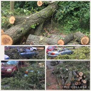 A collage showing tree damage cleanup, including cut logs and damaged cars, by Ratliff Landscape and Tree Service LLC in Murfreesboro, TN