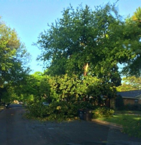 Tree debris and a broken tree trunk on a residential road after storm damage, handled by Personal Touch Tree Service in Dallas, TX.