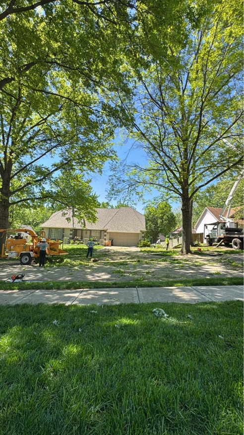 Omar Tree Services crew chipping tree debris and cleaning up a yard in Kansas City, MO.