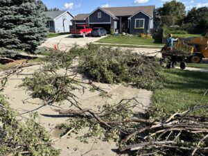 Tree branches and debris on a driveway being prepared for chipping by A to Z Trees and More LLC in Omaha, NE.