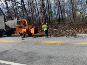 Tree service workers feeding branches into a wood chipper for debris removal by Smiles Tree Service in Atlanta, GA.