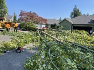 Tree service workers clearing branches and debris from a street after a tree removal, performed by The Honest Arborist in Everett, WA.