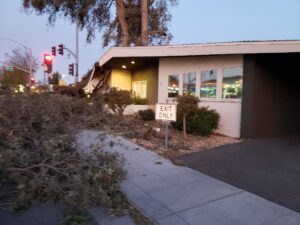 Tree branches and debris on the ground next to a building, showing cleanup services by AAA Emergency Tree Service LLC in Denver, CO.