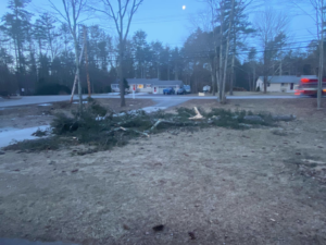 A large pile of cut tree branches and debris after a tree service job by Preservation Tree NH, LLC in Concord, NH