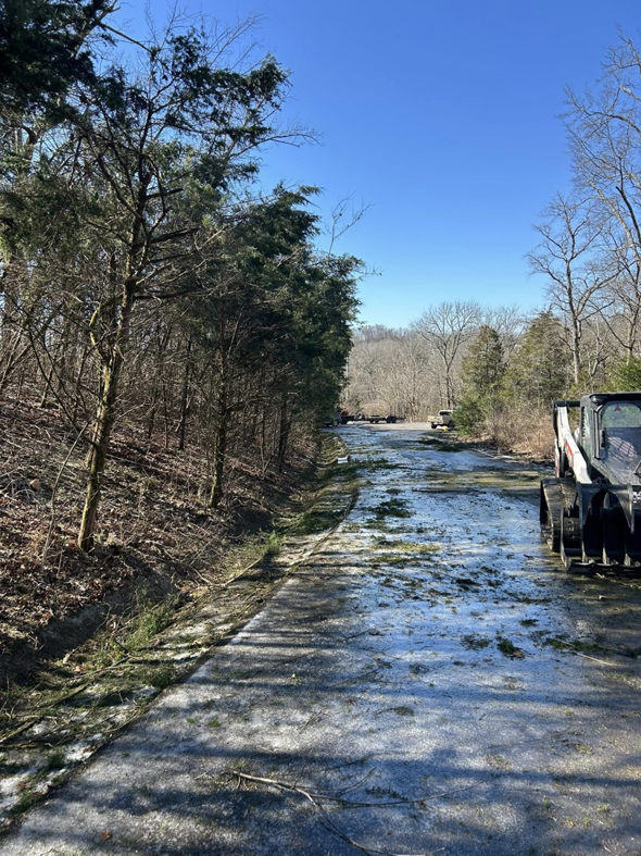 Tree debris scattered on a road with a skid steer loader, indicating cleanup by B&D Tree Service and Landscaping in Dallas, TX.
