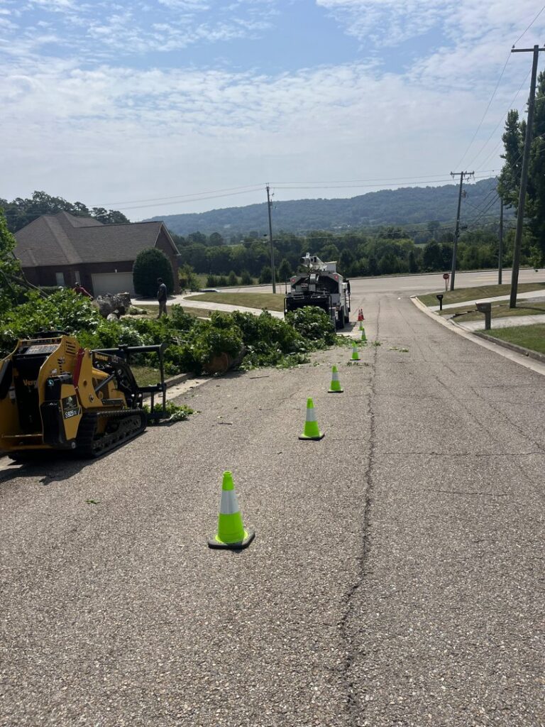 Tree debris and equipment, including a skid steer, on a residential street after tree work by Elite Tree Service in Knoxville, TN.