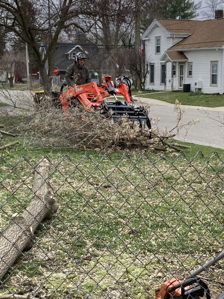 A tree service worker using a skid steer for tree debris cleanup for Father and Son Tree Service in Lansing, MI.