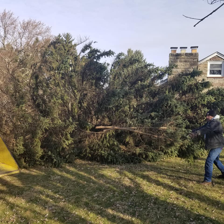 A worker cleaning up a large pile of tree debris after a service by Cunningham Tree Service in Murrysville, PA.