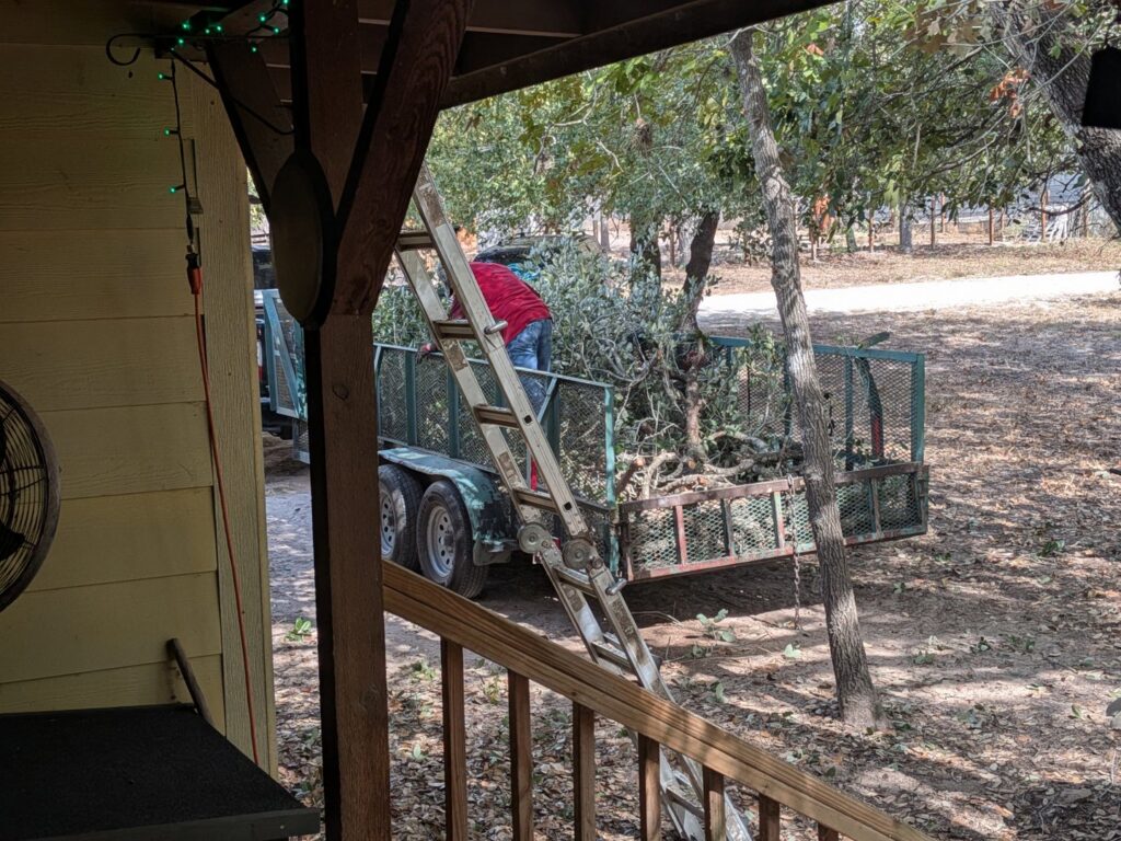 A tree service worker loading cut tree branches and debris into a trailer for Andrew's Tree & Landscaping Services in San Antonio, TX