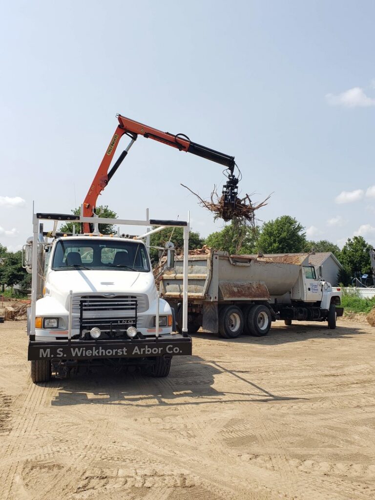 M S Wiekhorst Arbor Company using a crane truck to load tree debris into a dump truck for removal in Columbus, NE.