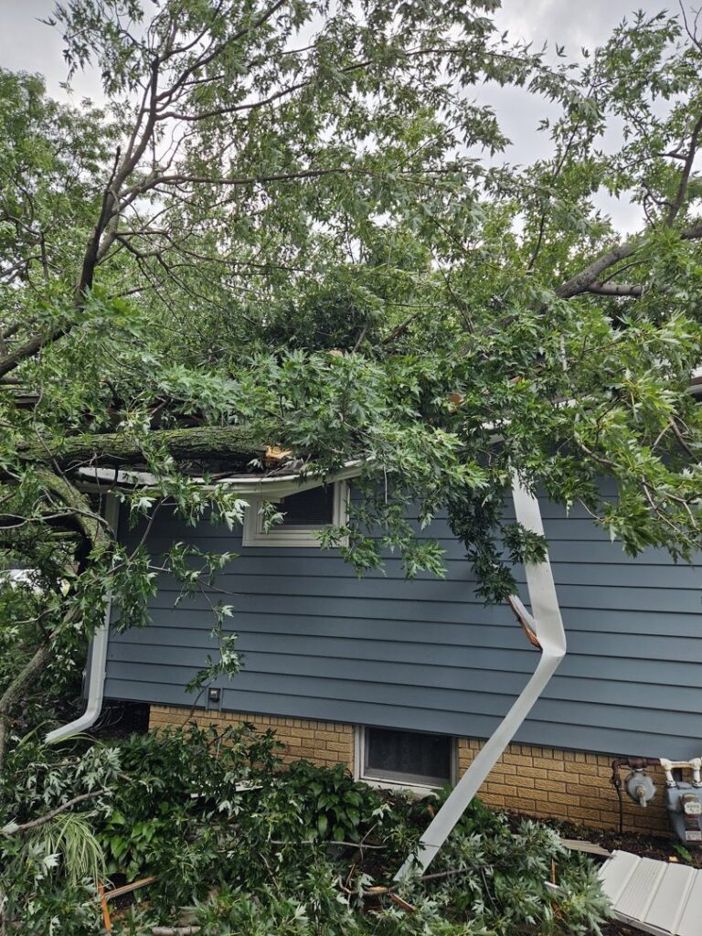 Tree branches and debris covering a house after a storm, requiring cleanup by Marv's Tree Service in Omaha, NE.