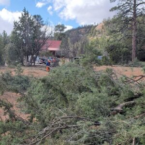 A large pile of tree branches and debris with a worker in the background, showing cleanup after tree service by All Around Forestry LLC in Albuquerque, NM