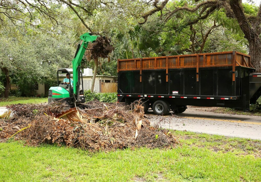 An excavator loading tree debris into a large trailer for removal by Tree Service Henderson in Henderson, NV.