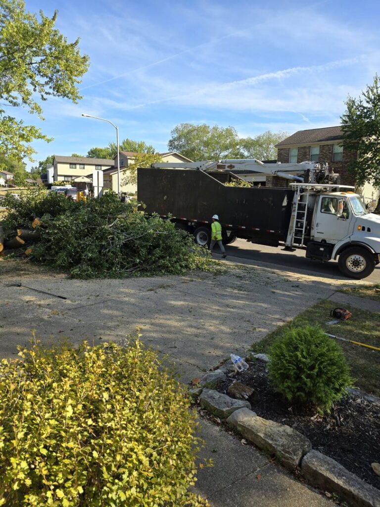 A large grapple truck loaded with tree debris, ready for removal after a tree service job by ES Tree Services Llc in Columbus, OH