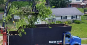 A grapple truck from Scotts Tree Experts in Columbus, OH, loading tree debris into a large dumpster for removal.