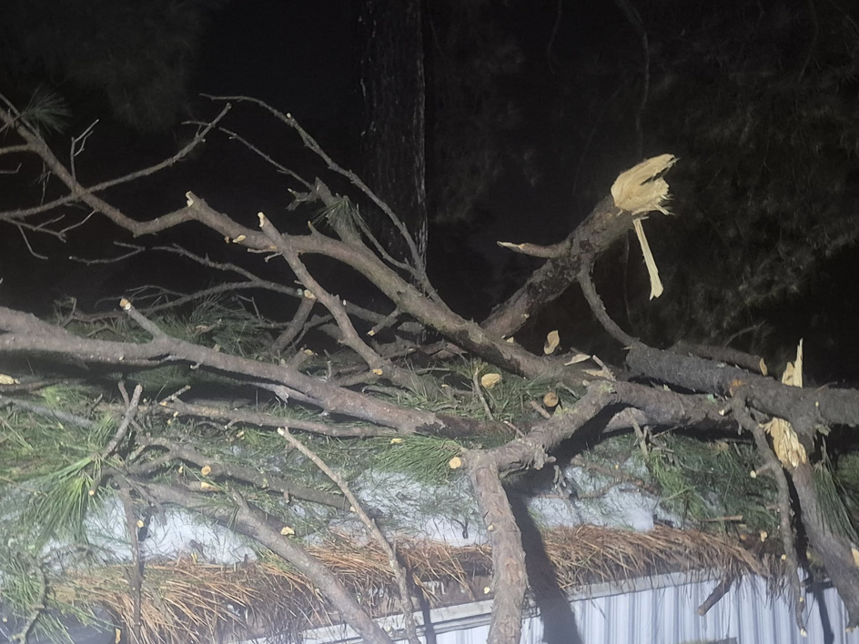 Tree debris on a roof, showing storm cleanup and removal services by Renovation Specialists in Mason, OH.