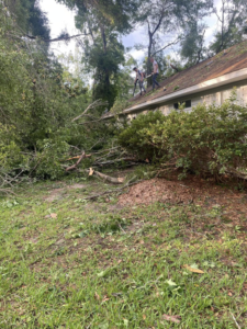 Workers removing tree debris from a roof after a storm at Tates Tree Service in Shalimar, FL.