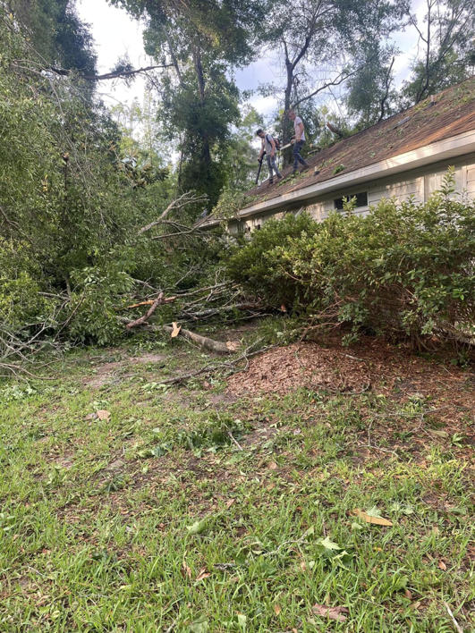 Workers removing tree debris from a roof after a storm at Tates Tree Service in Shalimar, FL.