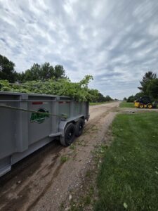 A large trailer filled with tree branches and debris, ready for removal by Alpha Outdoor Services LLC in Kearney, NE.