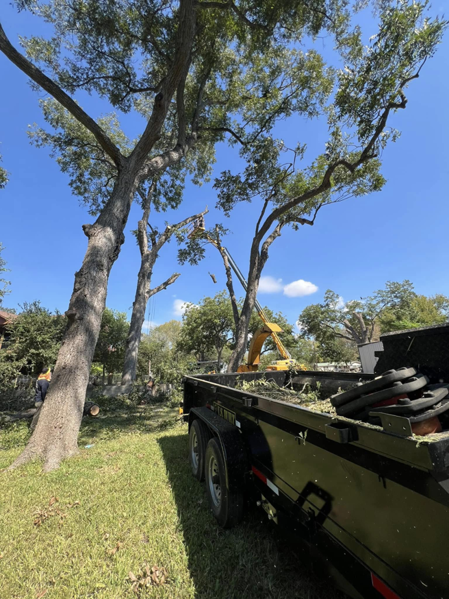 A trailer filled with tree debris and a bucket lift in the background, showing cleanup after tree service by Manuel's Tree Service in San Antonio, TX