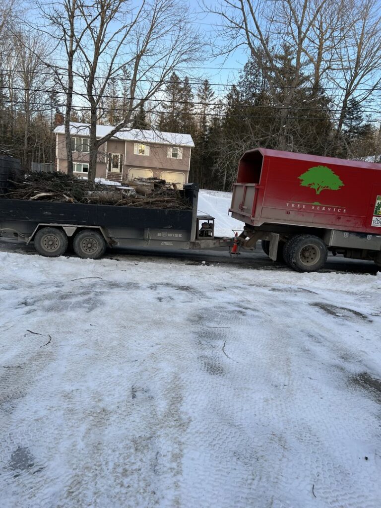 A trailer loaded with tree debris and a chipper truck with a tree service logo from BlueWater Tree Service, LLC in Bangor, ME.