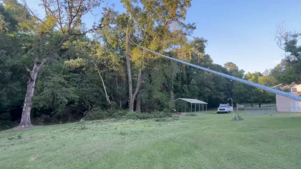 A long blue rope attached to a tree, indicating controlled tree felling or removal work by Solid Ground Tree & Property Services LLC in Dothan, AL.