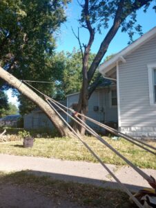 A tree being carefully felled using multiple ropes by Humbolt Tree Service in Wichita, KS
