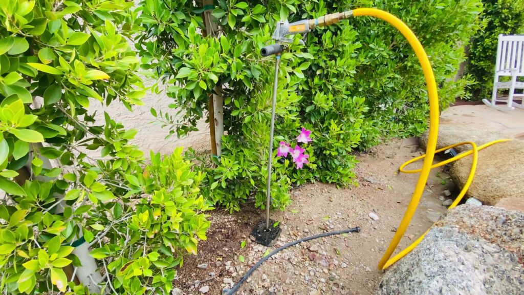 An irrigation system with a hose and watering stake for tree and plant care by Valley Tree Masters in Chandler, AZ